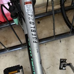 Girls Bike Nishiki Pueblo 24