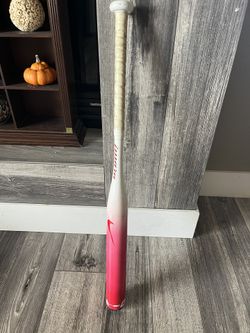 Nike Fast Pitch Bat
