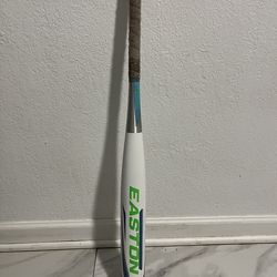 Easton cyclone softball bat 31in -10