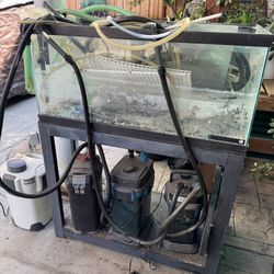 Breeding Tank With Outside Filters 