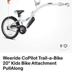 Weeride Co Pilot Bike Attachment 