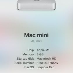 2020 M1 MacMini 256GB + Internal 1TB