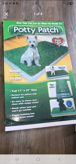 Potty Patch Training Dog