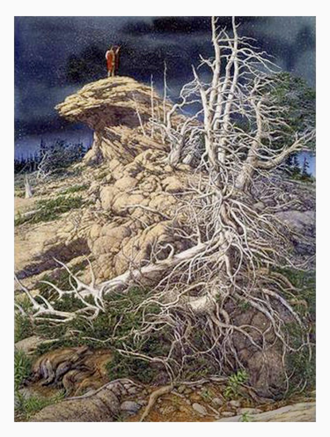 "Prayer for the Wild Things" by Bev Doolittle