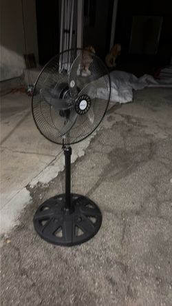 Fan