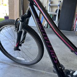 Specialized 22” 8 Speed Bike