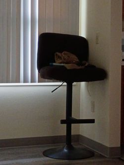 House chair