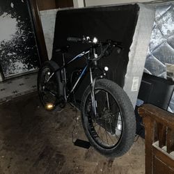 Electric Bike 