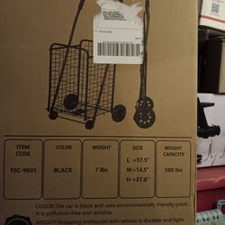 Small Grocery Cart