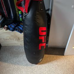 UFC Punching Bag 