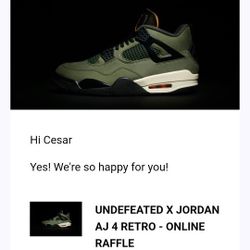 Brand New Undefeated Jordan 4 Size 9 