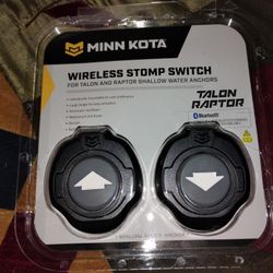 Stomp Switch 