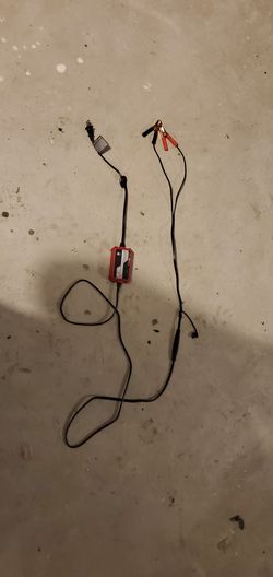Foval 12v battery charger