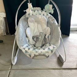 Baby Bouncer