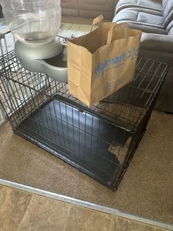 Dog Bundle