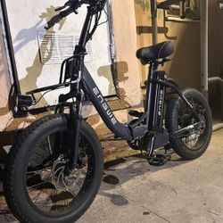 Electric Bike