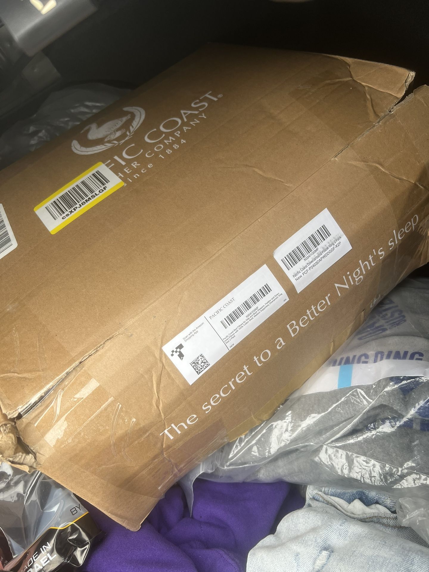 Pacific Coast Downaround Pillow King 2