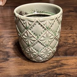 Small Sage Green Flower Pot With Drain Hole 