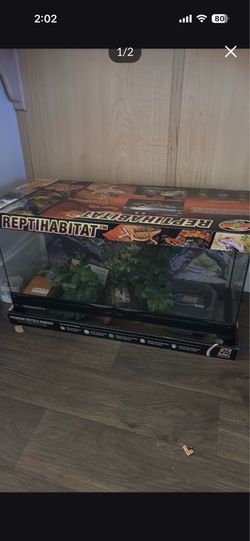 Reptile tank