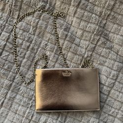 Kate Spade Metallic Clutch with Chain