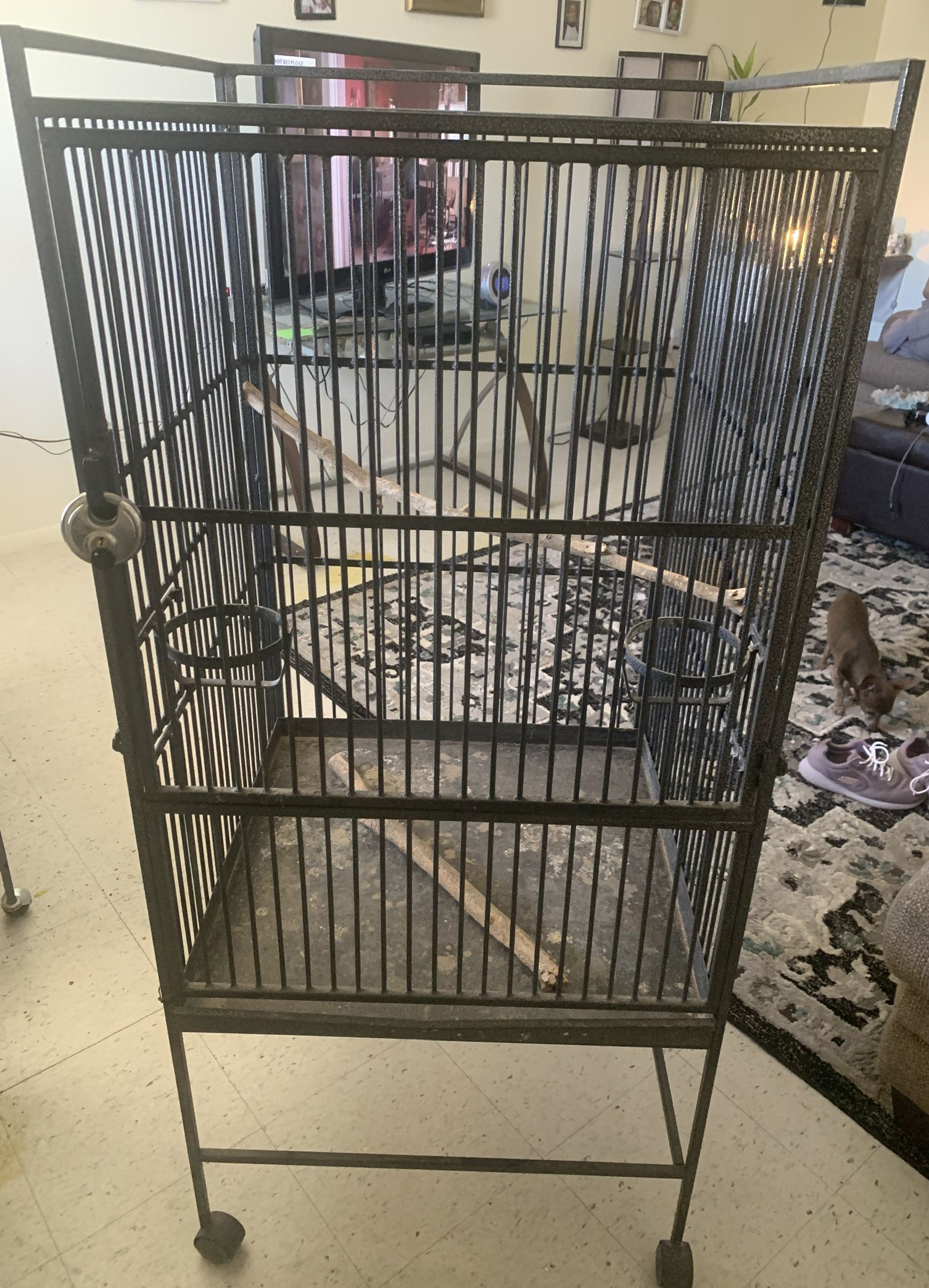 XL Bird Cage 
