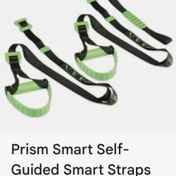 Smart Straps Body Weight Trainer