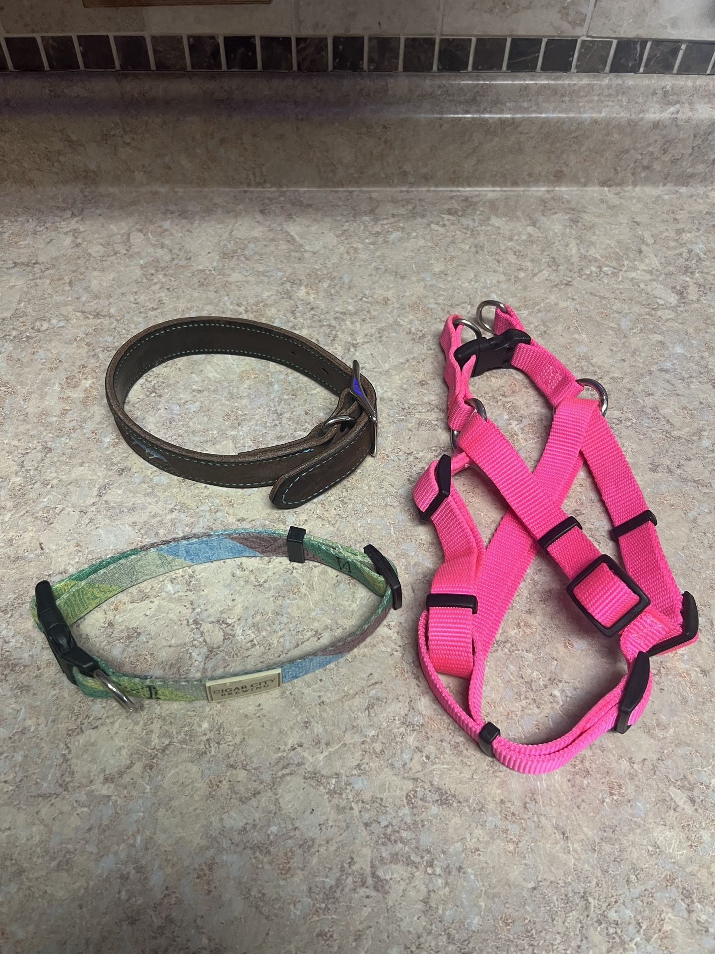 Dog Collars And Harness