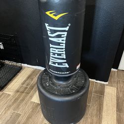 Everlast punching bag