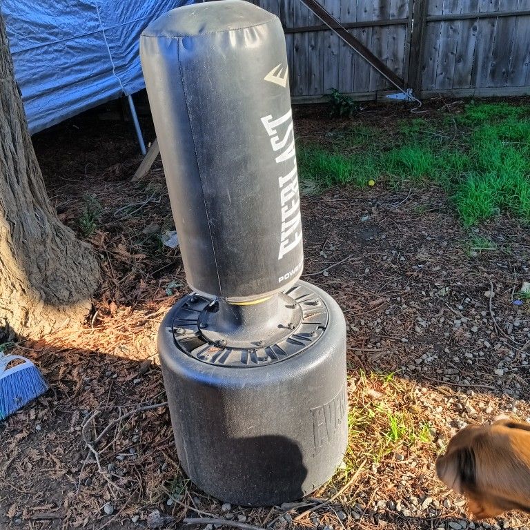 Standing Punching Bag