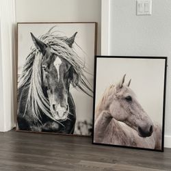 Horse Decor