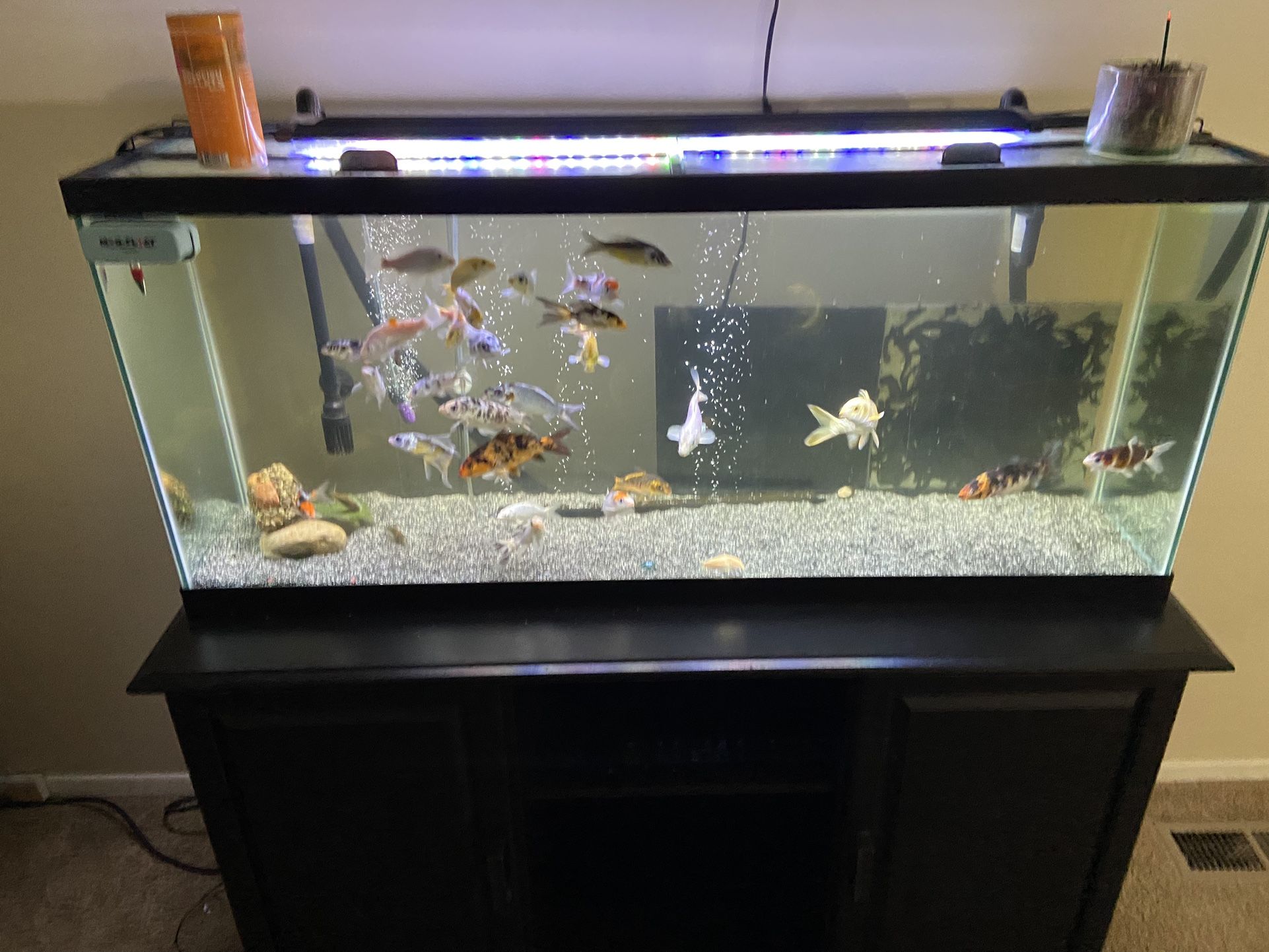 55 Gallon Aquarium With Stand. 