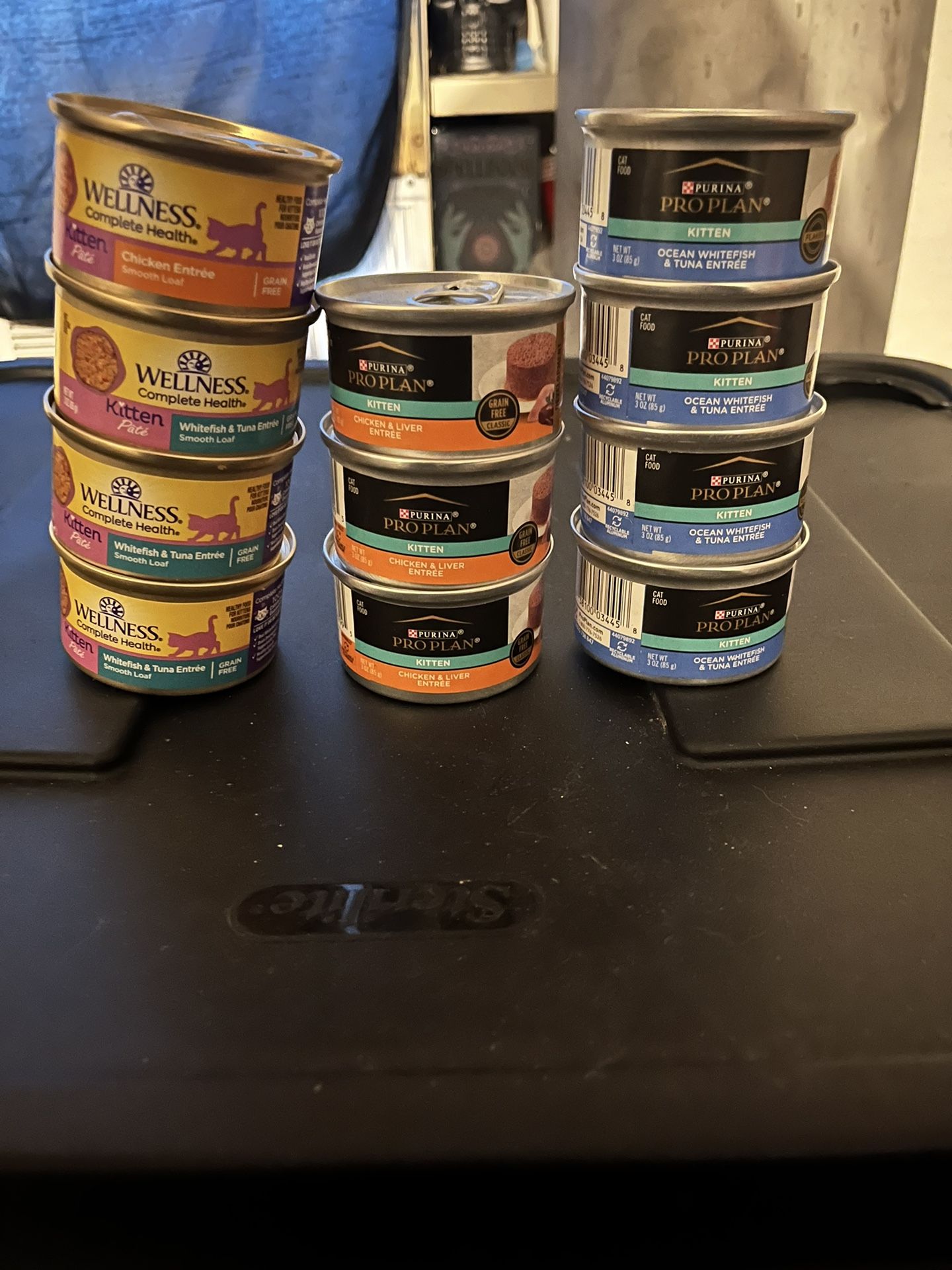 Wet Kitten Food 