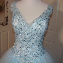 Quinceañera/Sweet 16 Dress