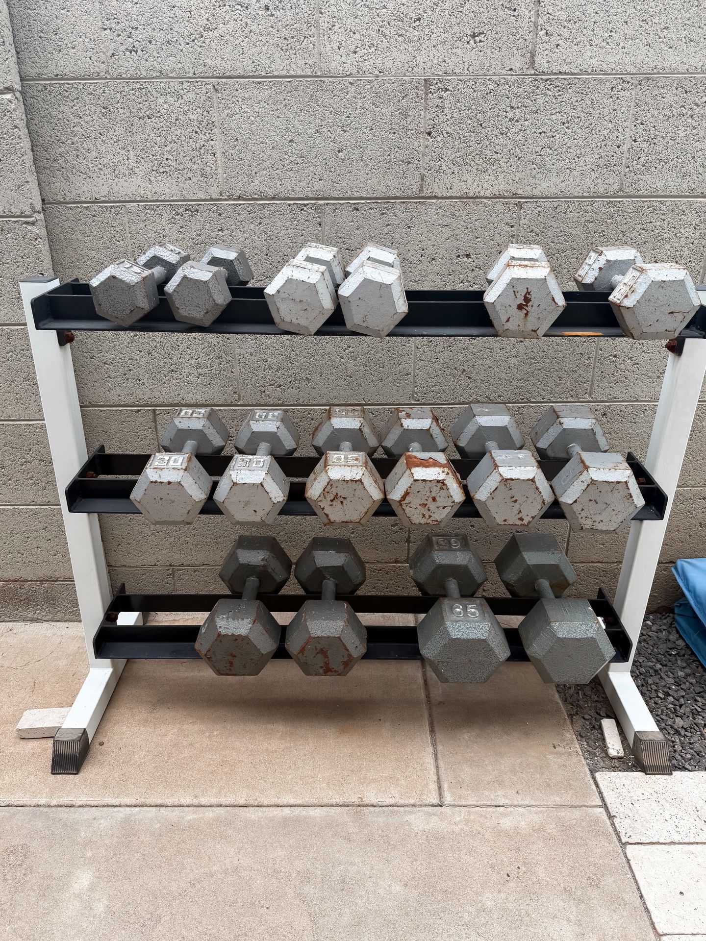 Dumbbell Weight Set