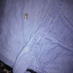 Polo shirt size medium