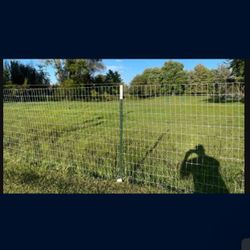 Fence Metal 10ft