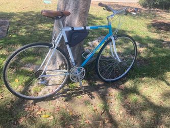 Bridgestone Mile 112 Bike