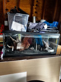 Large 75 inch Glass Aquarium Fish Tank with Decor and stands