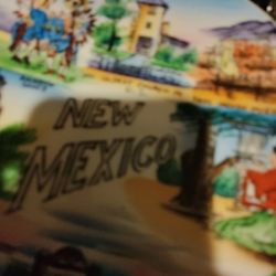 Antique New Mexico Plate 