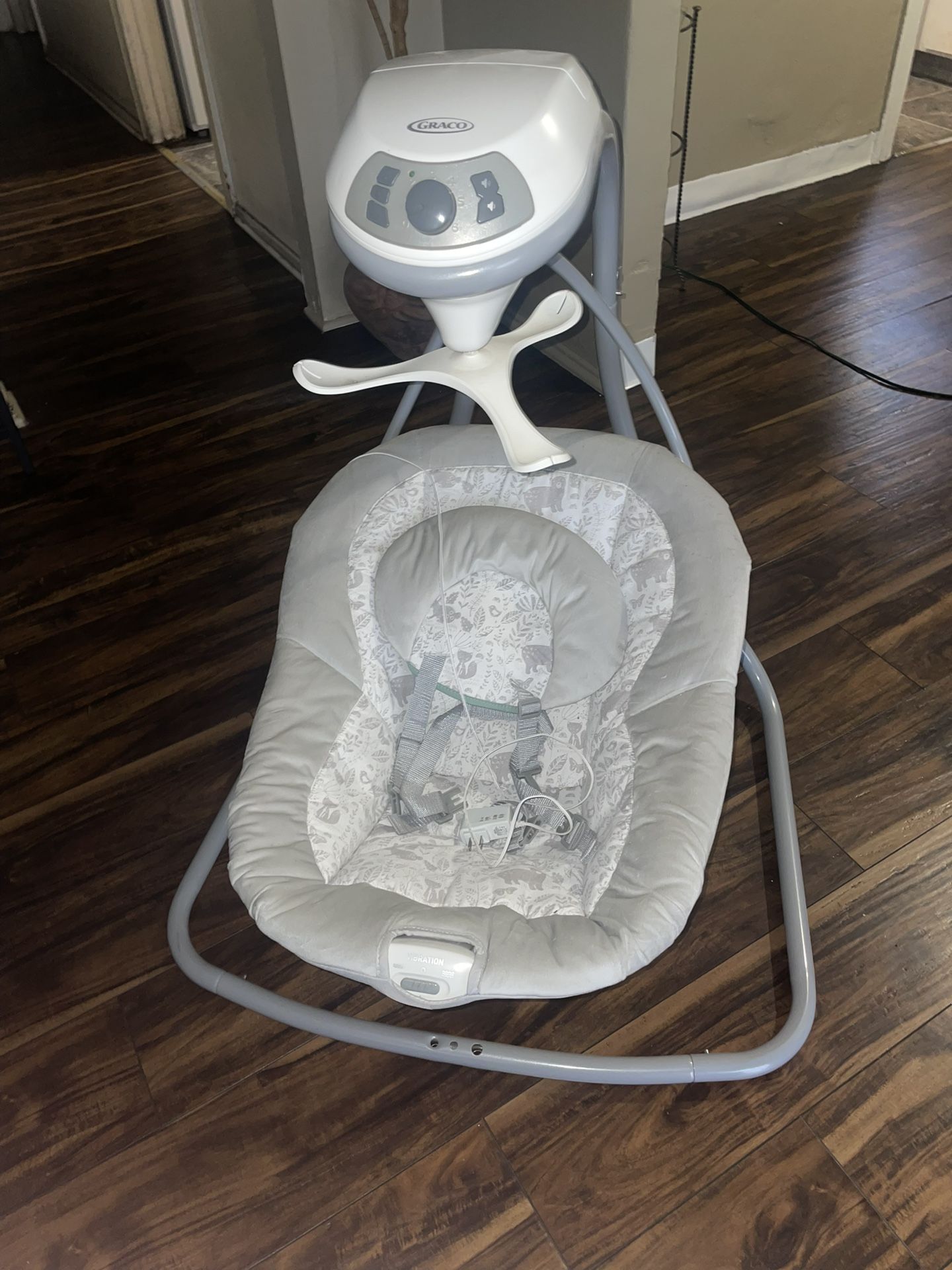 Graco Baby Swing