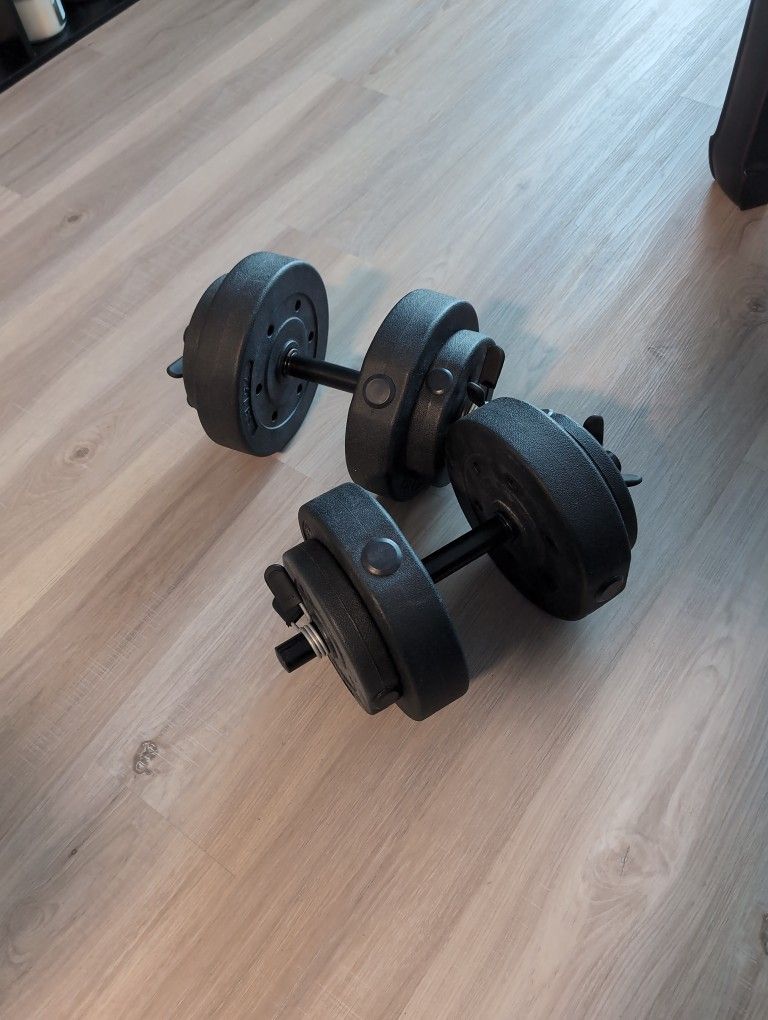 20 Lbs Dumbbells