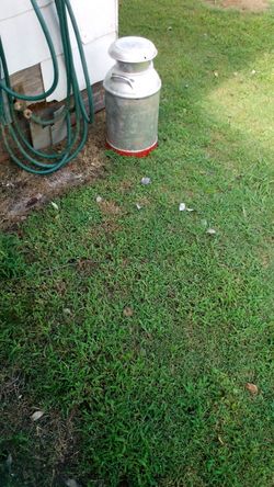 Old milk cans