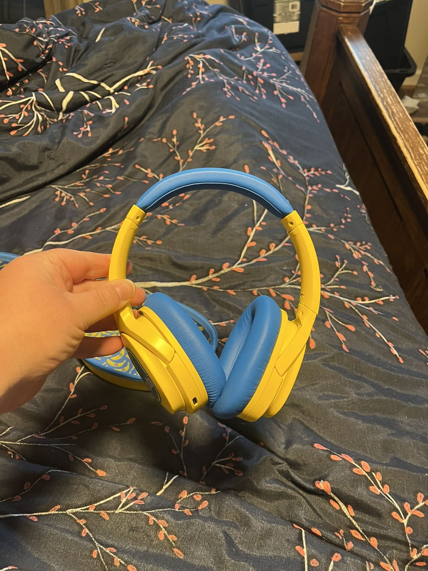 Wireless headphones.  