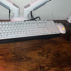 Alien Ware Keyboard And Mouse 