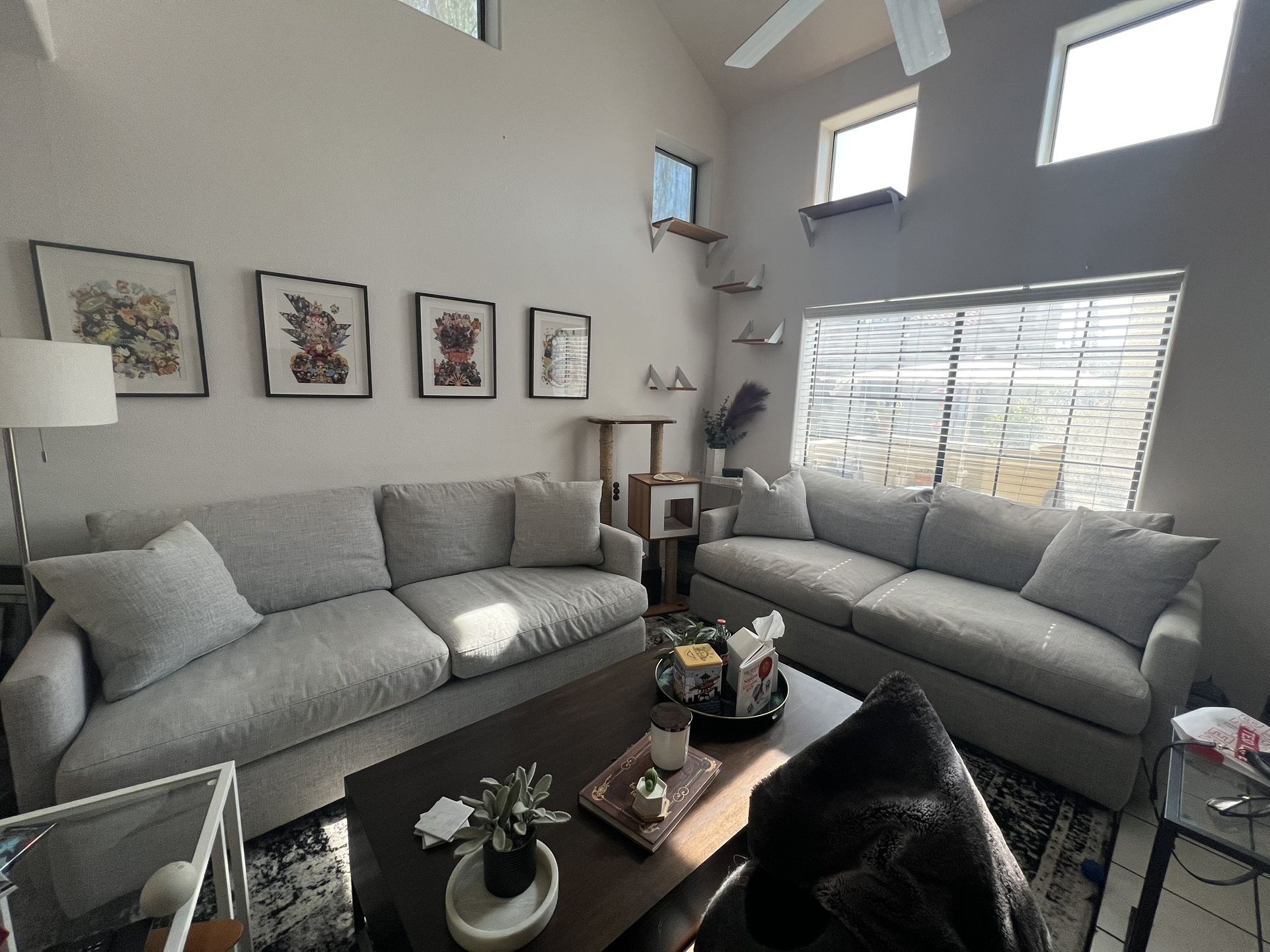 Twin Sofa Set
