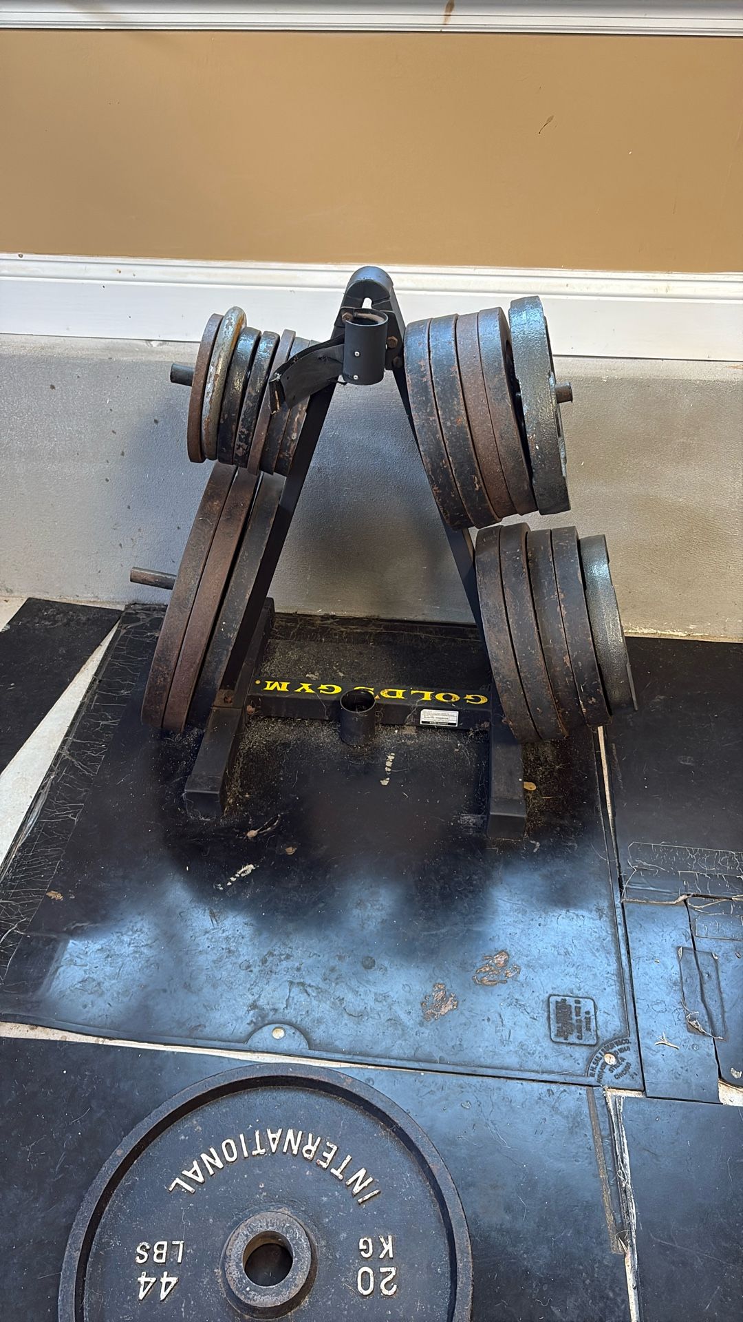 Weight plates + Racks