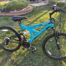 Gauntlet Dynacraft Bike