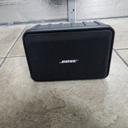 Bose Indoor/Outdoor Speaker 