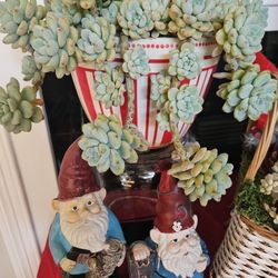 Custom Vase/ bottle For Plant