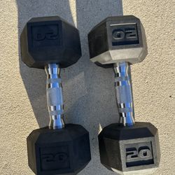 Set Of 20 Lb Dumbbells 